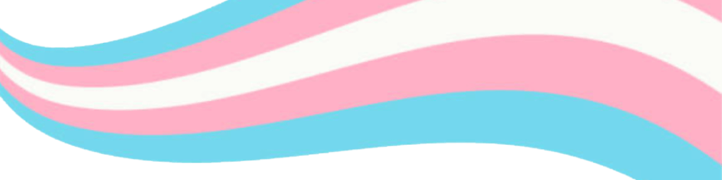 Pittsburgh Transgender Alliance: A New Trans Peer-to-Peer Support Group