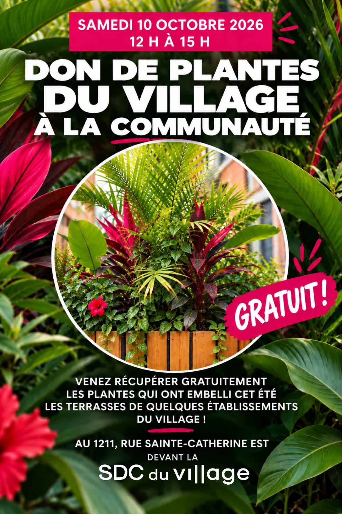 Don des plantes du Village à la communauté
