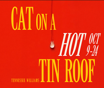 Cat on a Hot Tin Roof