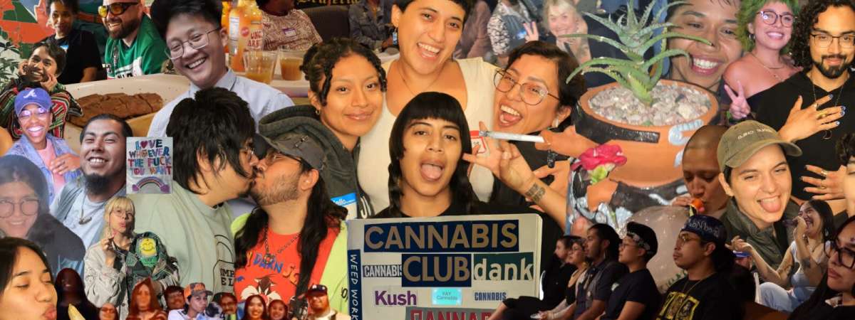 Potent Histories: Cultivating Queer Cannabis Narratives in the Digital-Analog Archive